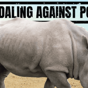 Pedaling Against Poaching