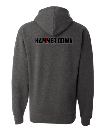 hammerdown hoodie j. america 8824